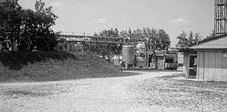 dipharma francis fig_1