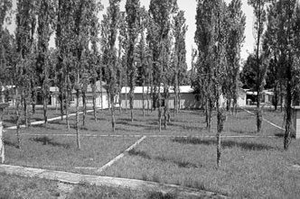 dipharma francis fig_2